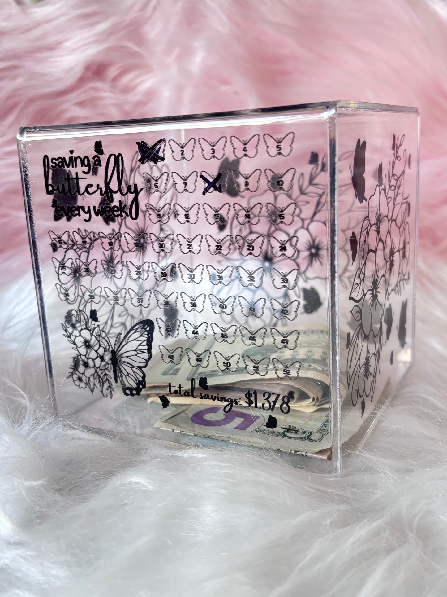 Saving a Butterfly Every Week Acrylic Box