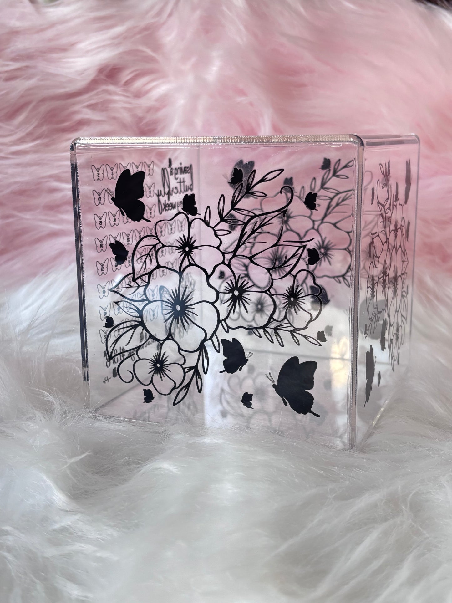 Saving a Butterfly Every Week Acrylic Box