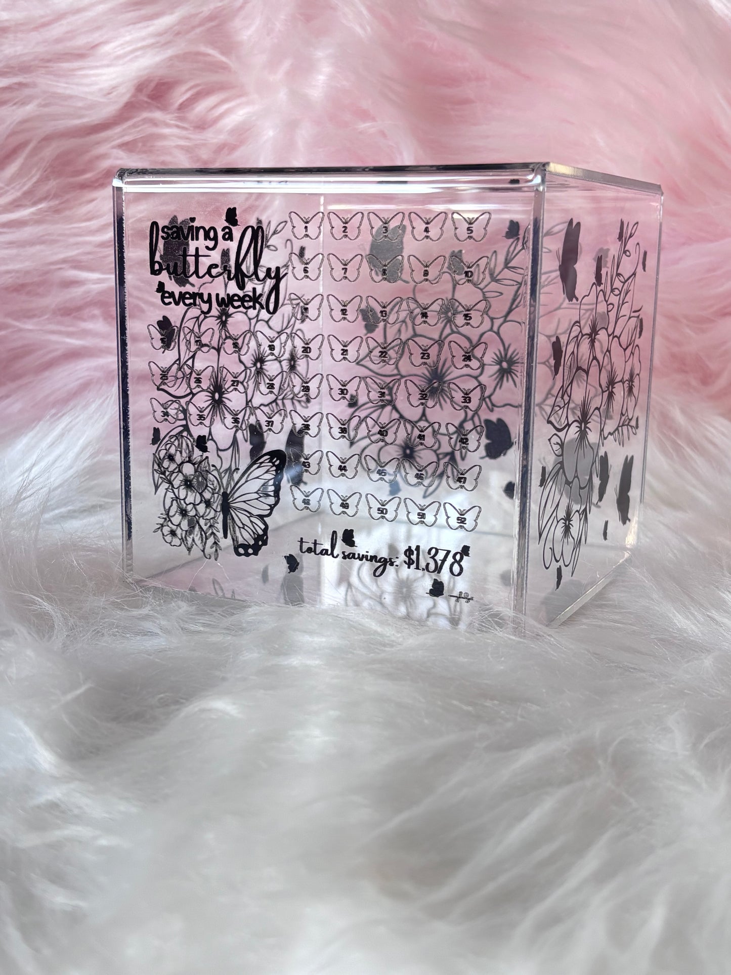 Saving a Butterfly Every Week Acrylic Box