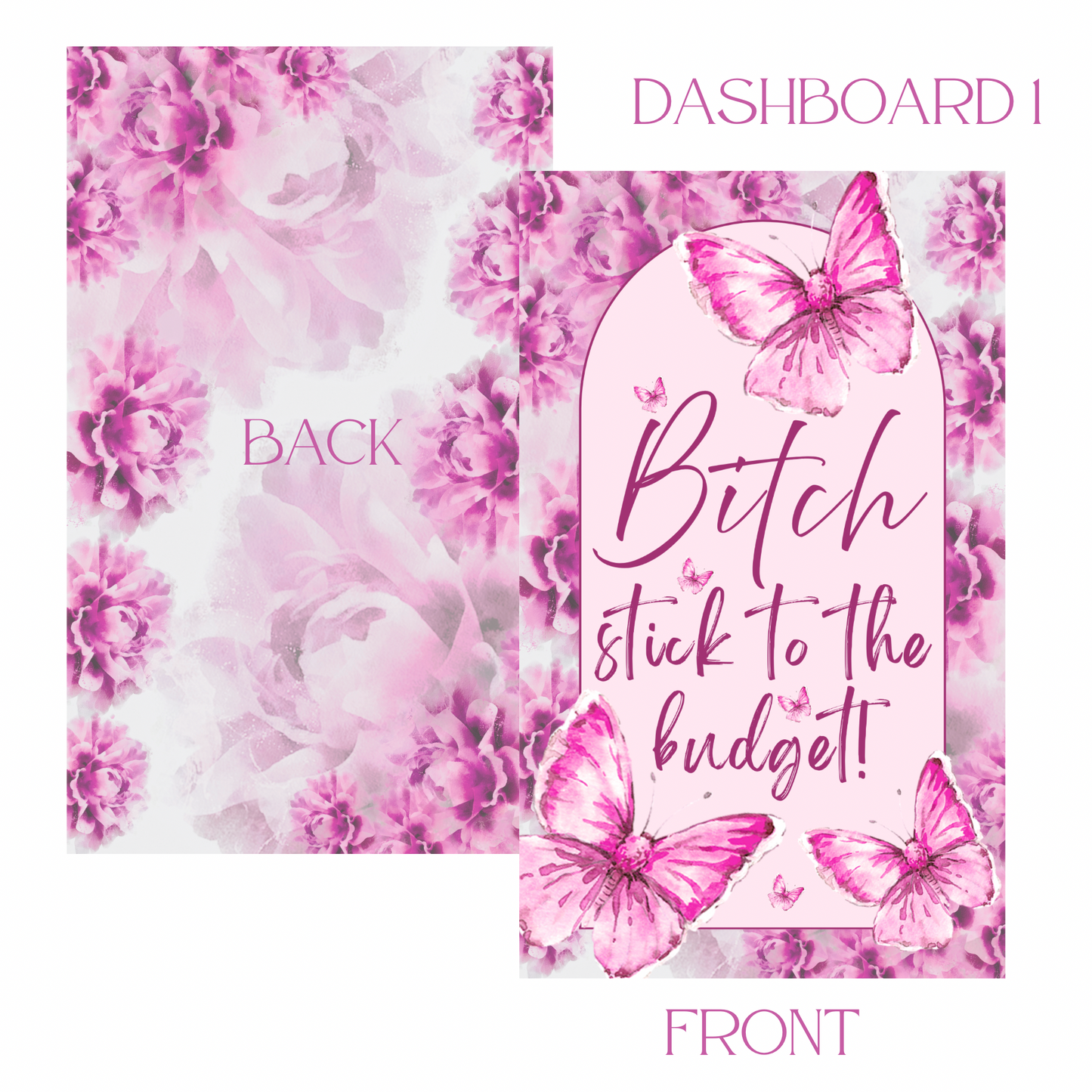 B*tch Stick to the Budget! (A6 Dashboard)